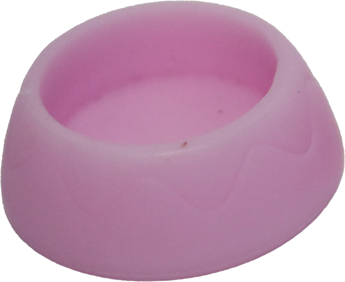 Empty Bowl