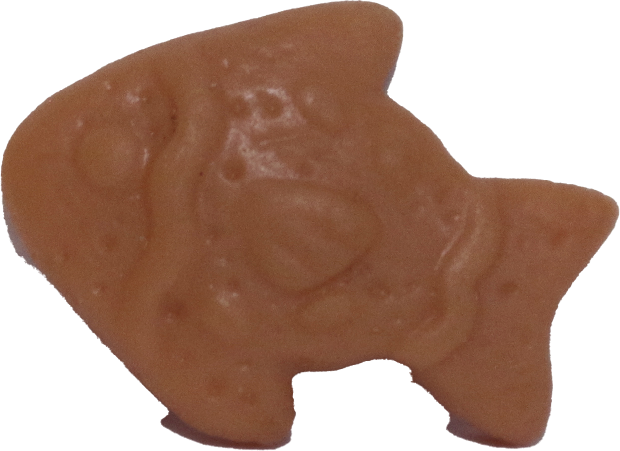 Fish Biscuit