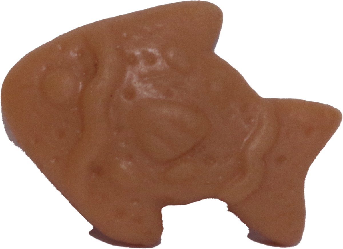 Fish Biscuit