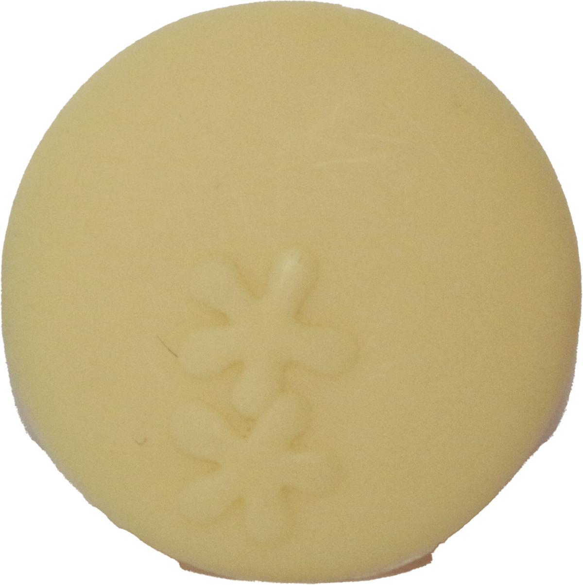 Frisbee