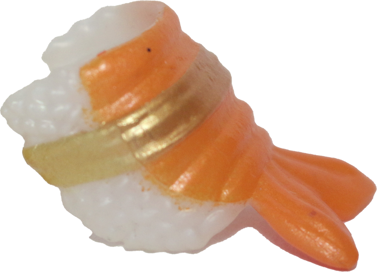 Hungry Pets Costume - Sushi