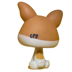 #2072 Chihuahua