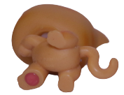 #0011 Paw Up Cat