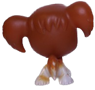 #0031 Spaniel
