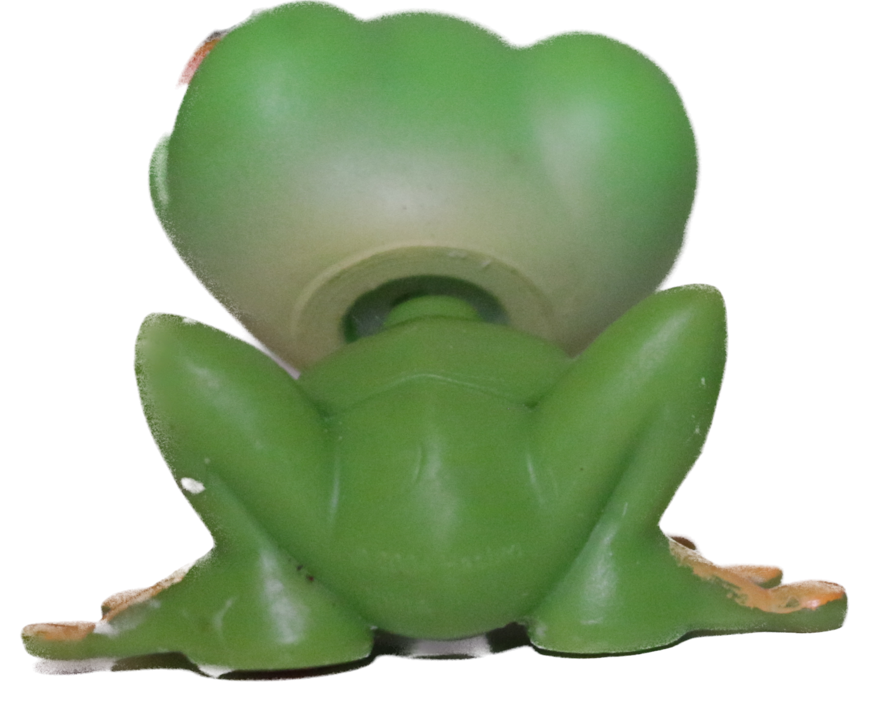 #0050 Frog