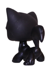 #0055 Angora Longhair Cat