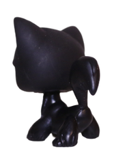 #0055 Angora Longhair Cat