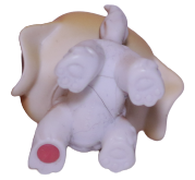 #0076 Saint Bernard