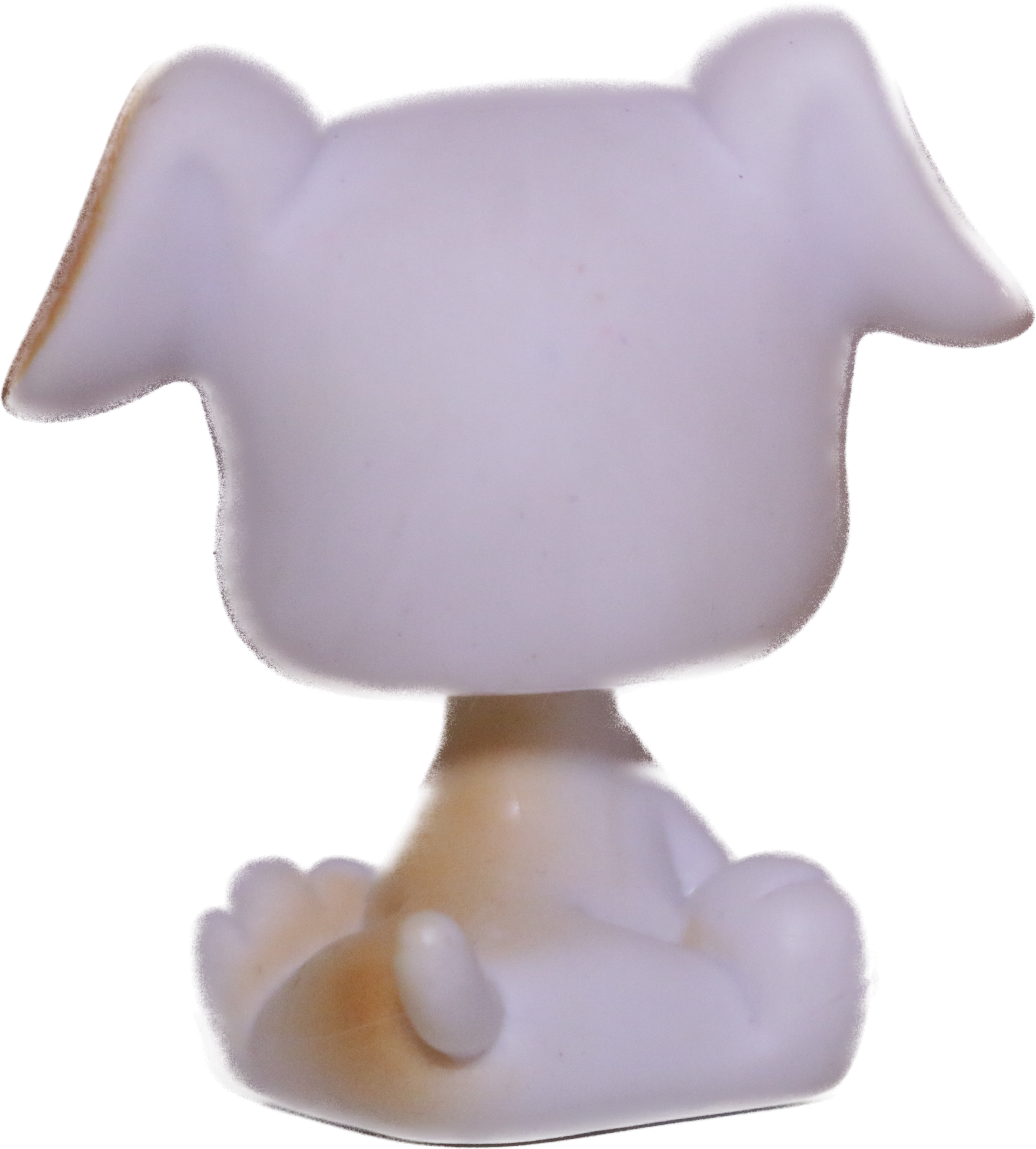 #0084 Boxer