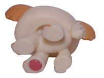 #0096 Chihuahua