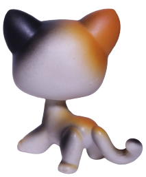 #0106 Shorthair Cat