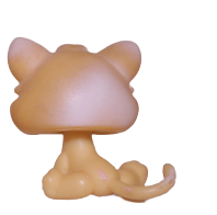 #0114 Kitten