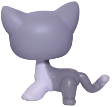 #0138 Shorthair Cat