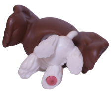 #0156 Cocker Spaniel