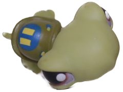 #0181 Turtle