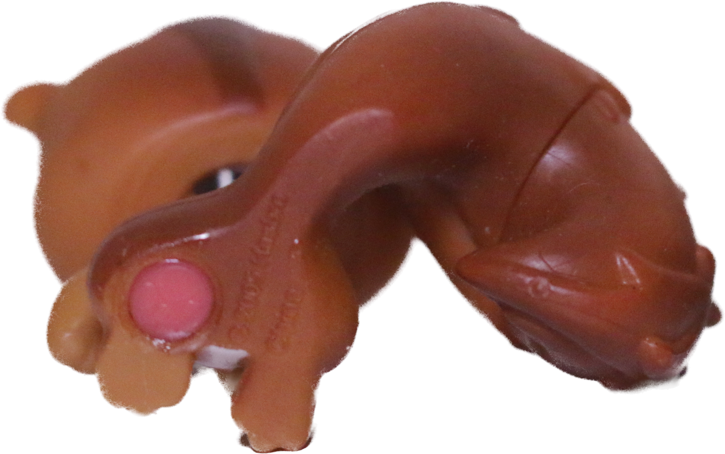 #0195 Squirrel