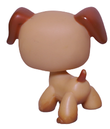 #0218 Boxer