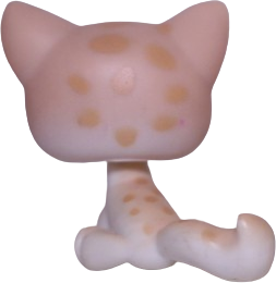 #0224 Sitting Cat