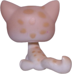 #0224 Sitting Cat