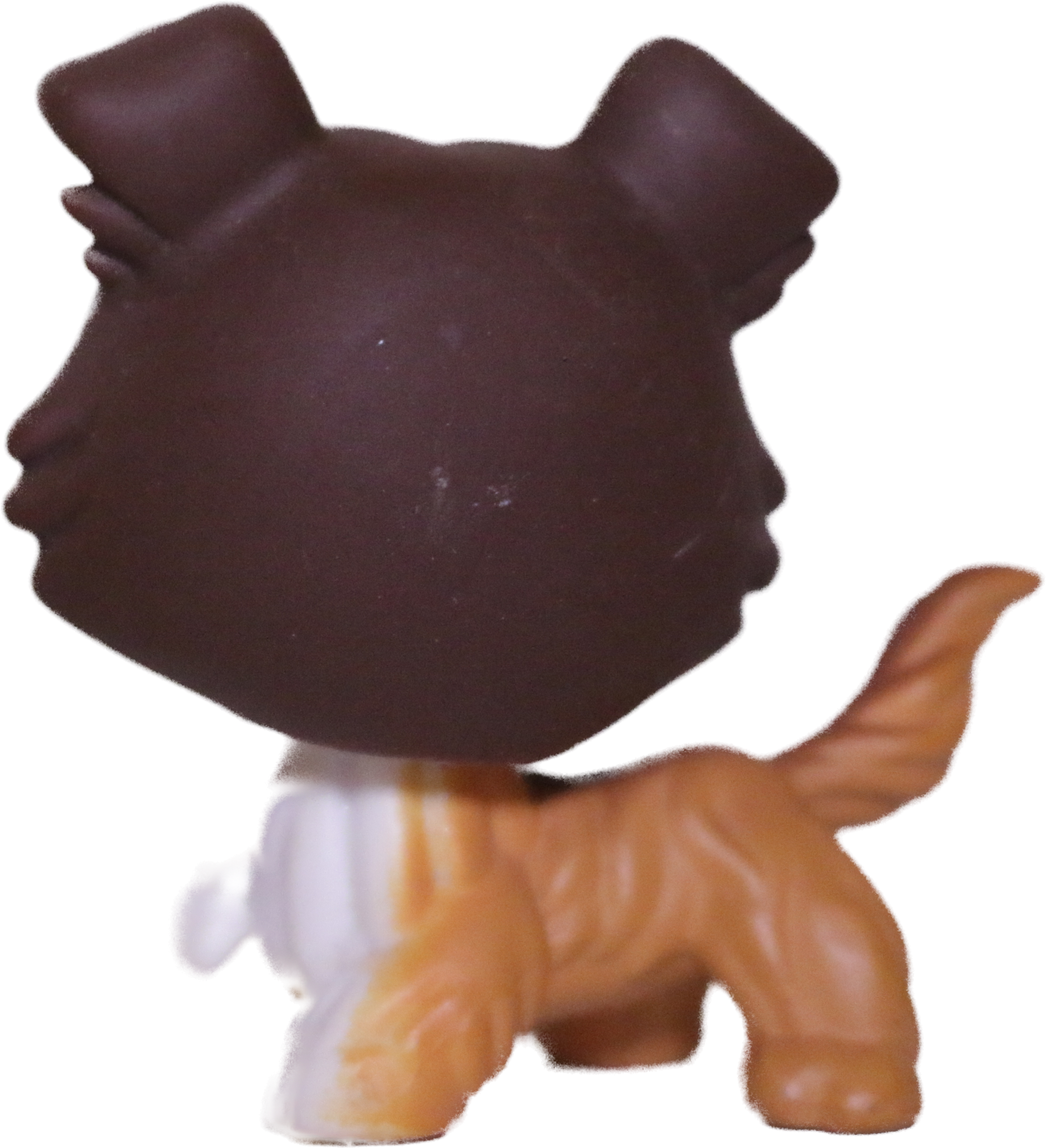 #0237 Collie