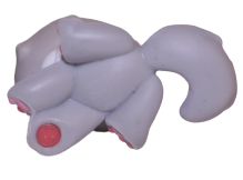 #0251 Persian Cat