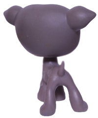 #0319 Greyhound