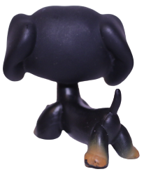 #0325 Dachshund