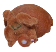 #0332 Chow Chow