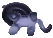 #0336 Shorthair Cat