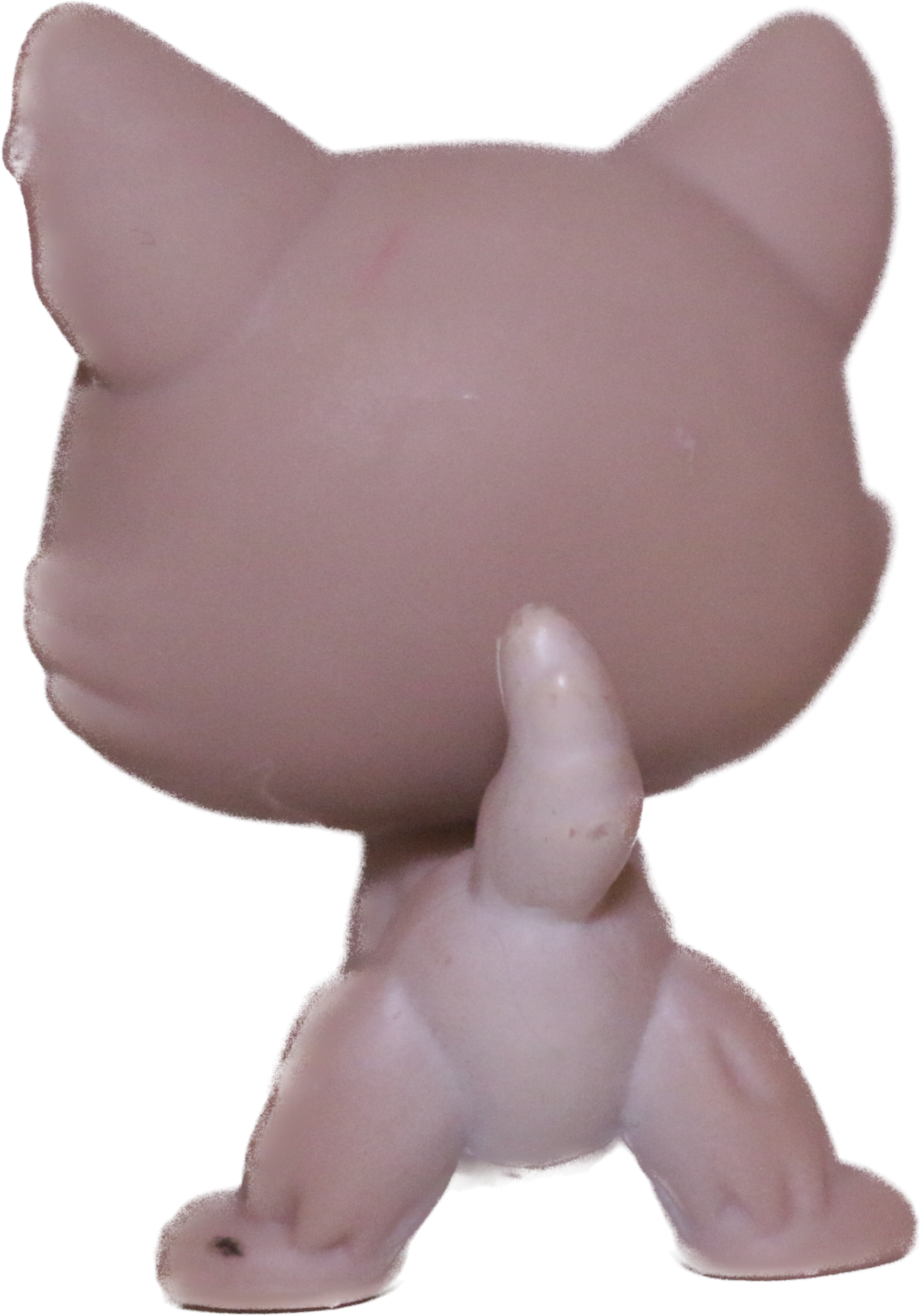 #0358 Husky