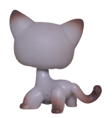 #0391 Shorthair Cat