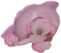 #0402 Poodle