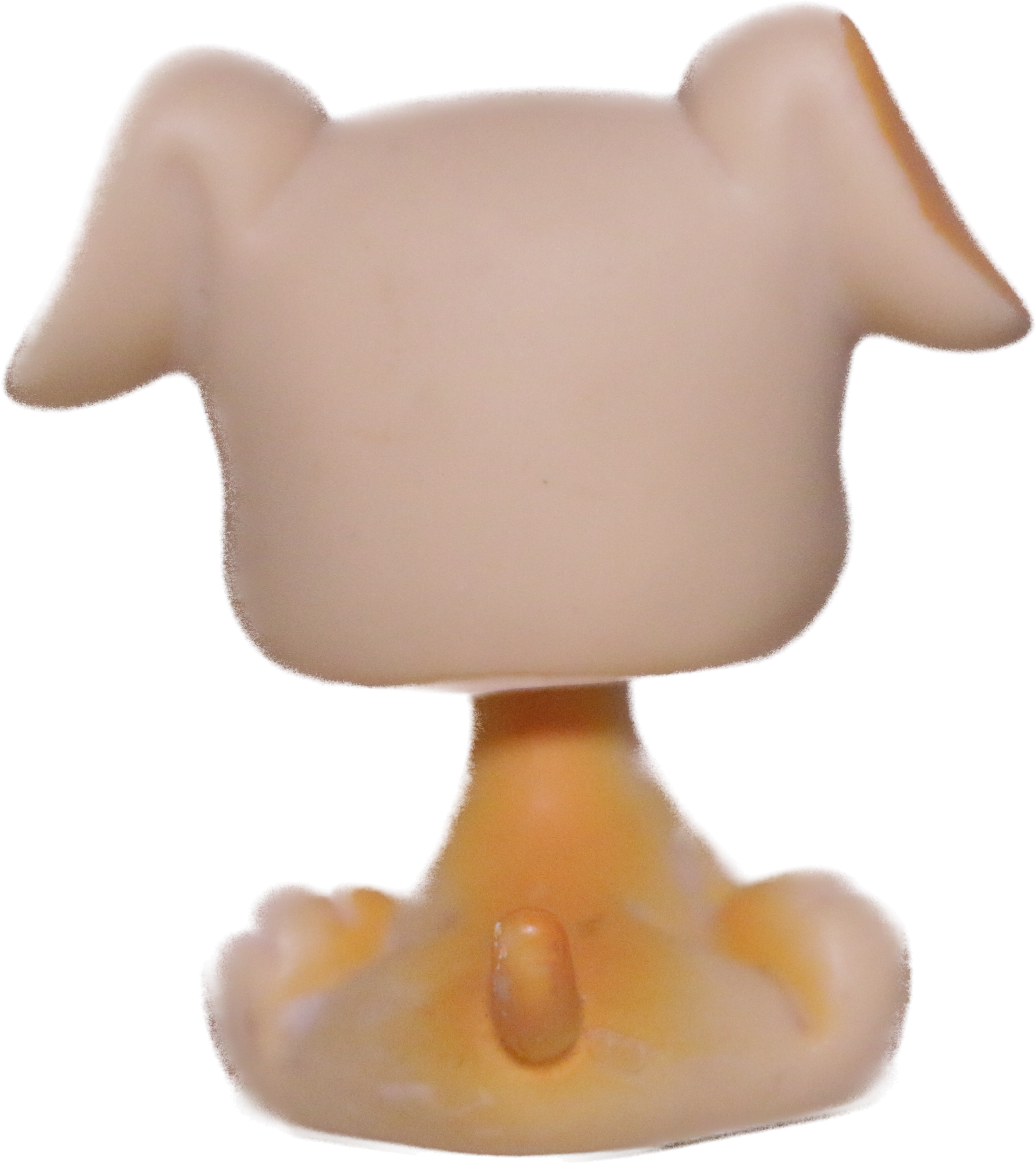 #0451 Boxer