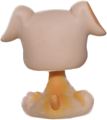 #0451 Boxer