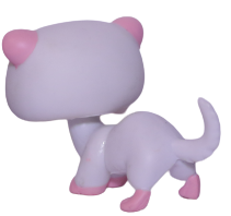 #0520 Ferret