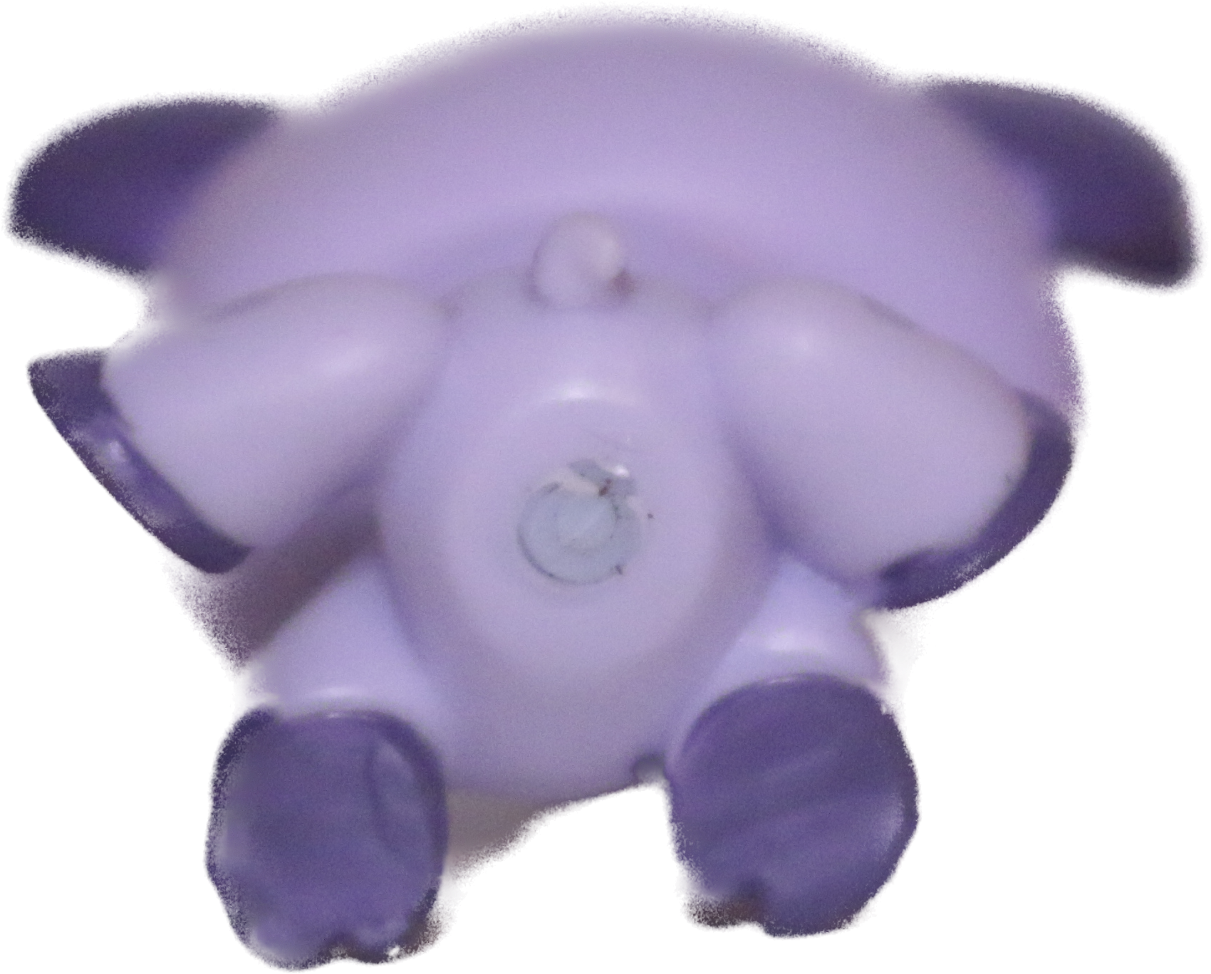 #0550 Pig