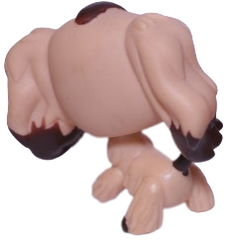 #0575 Cocker Spaniel