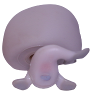 #0616 Seal