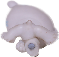#0647 Polar Bear