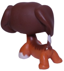 #0675 Dachshund