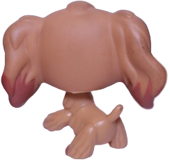 #0716 Cocker Spaniel