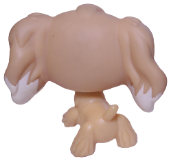 #0748 Cocker Spaniel