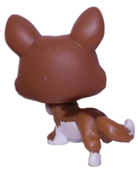 #0897 Corgi