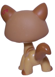 #1174 Destiny Cat