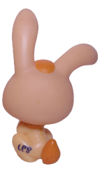 #1310 Rabbit