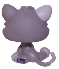 #1607 Kitten