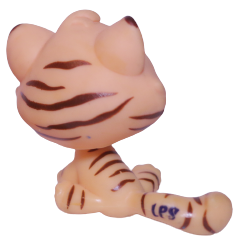 #1608 Sitting Bonbon Cat