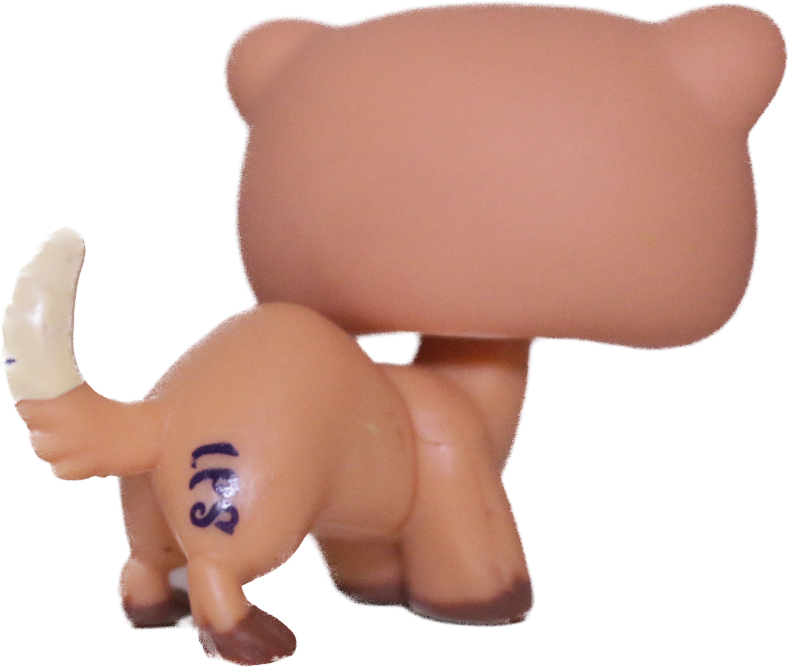 #1612 Ferret