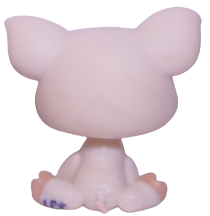 #1693 Pig