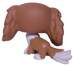 #1825 King Charles Spaniel
